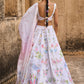 Light Grey Embellished Velvet Lehenga