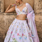 Light Grey Embellished Velvet Lehenga