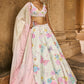 Light Green Embellished Velvet Lehenga