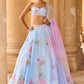 Light Blue Embellished Chiffon Lehenga