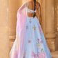 Light Blue Embellished Chiffon Lehenga